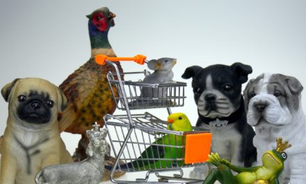Where’s the Shopper in PetSmart’s Acquisition of Chewy.com?